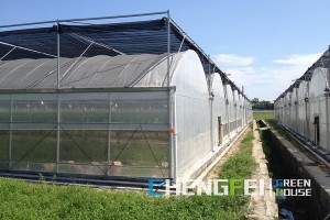 Newly Arrival Modular Greenhouse -
 Agricultural film greenhouse with ventilation system – Chengfei