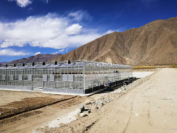 Glass greenhouse project in Italy