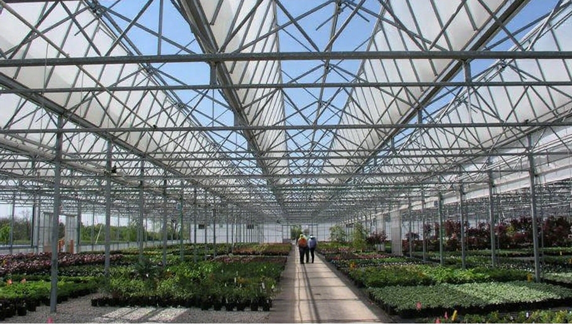 The Secret Sauce: What Environmental Factors Make Hydroponic Greenhouses Thrive