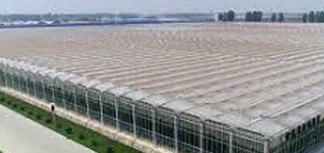 What is a Greenhouse? Understanding the Basics and Why It Matters in Modern Farming