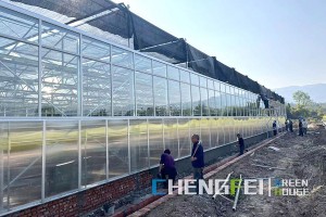 OEM/ODM Supplier Plastic Film Greenhouse -
 Venlo multi-span commercial glass greenhouse – Chengfei
