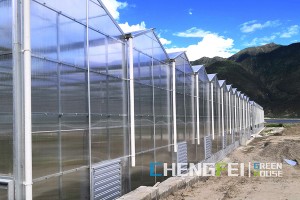 China Factory for Single-Span Greenhouse -
 Venlo agricultural polycarbonate greenhouse – Chengfei